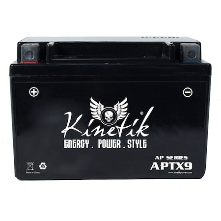 Bsc Preferred Honda TRX300X, EX 300cc ATV Replacement Battery 1993-2012 ZZZ-42031-X-1-520199